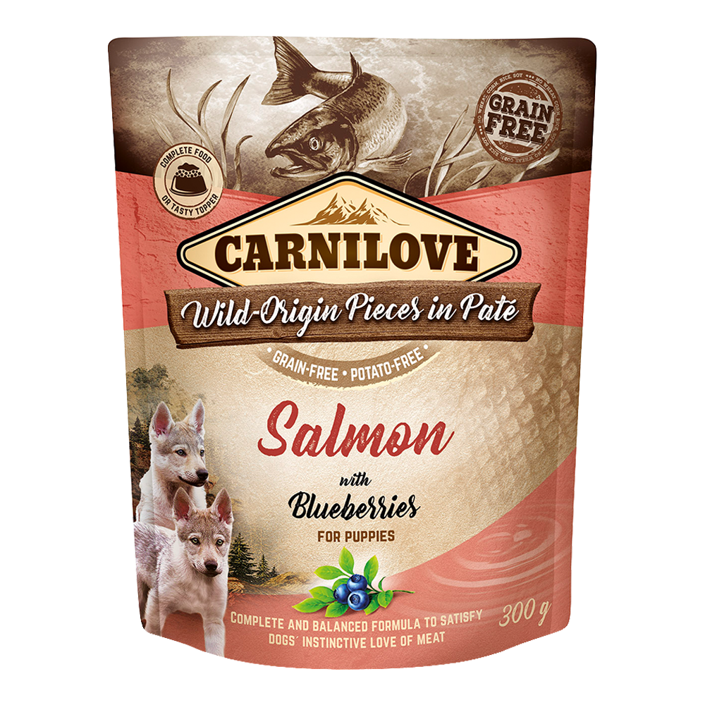 Carnilove Salmon with Blueberries for Puppies Wet Food Pouches 12x300gm